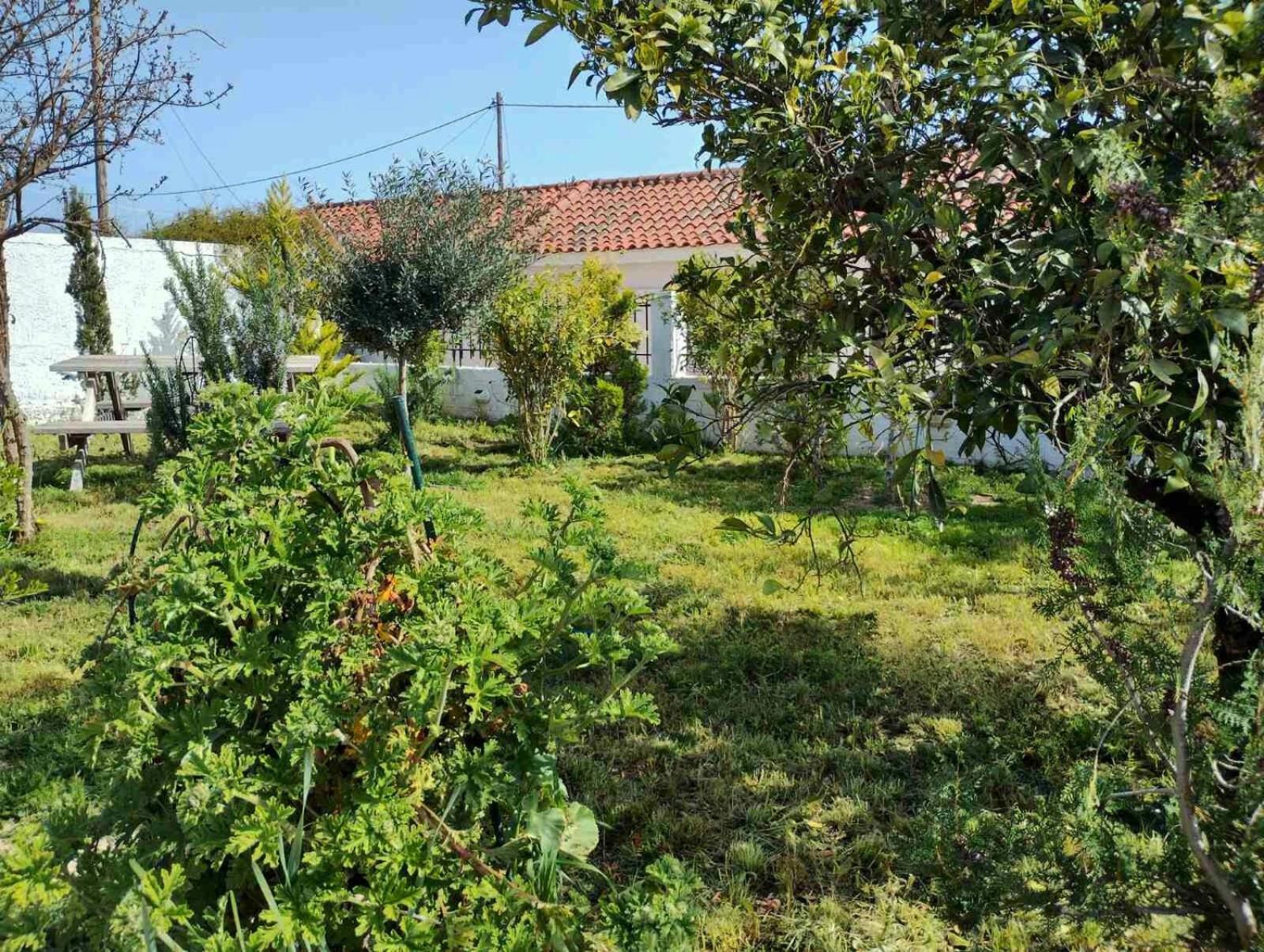 Nafplio Cottage-Grandma'S Yard Asíni Exterior photo